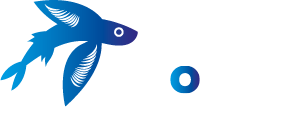 Exocet Tech